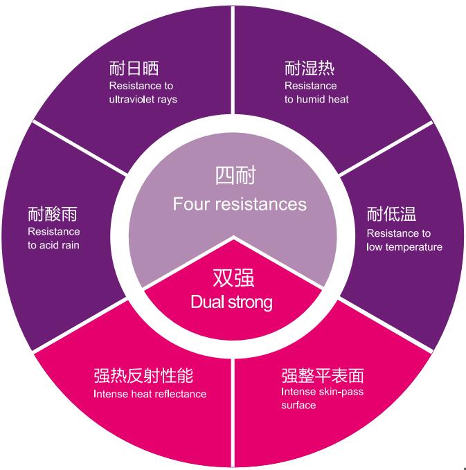 1560305559999456.jpg 1.jpg