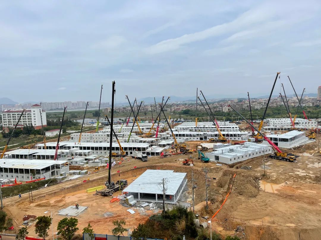 1651211686292616.jpg 004.jpg